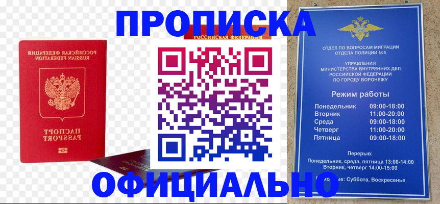 прописка иностранных граждан в Няндоме